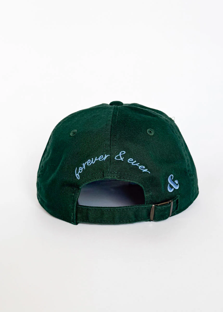 Chicago Arch Dad Hat - Green & Blue - Image 4