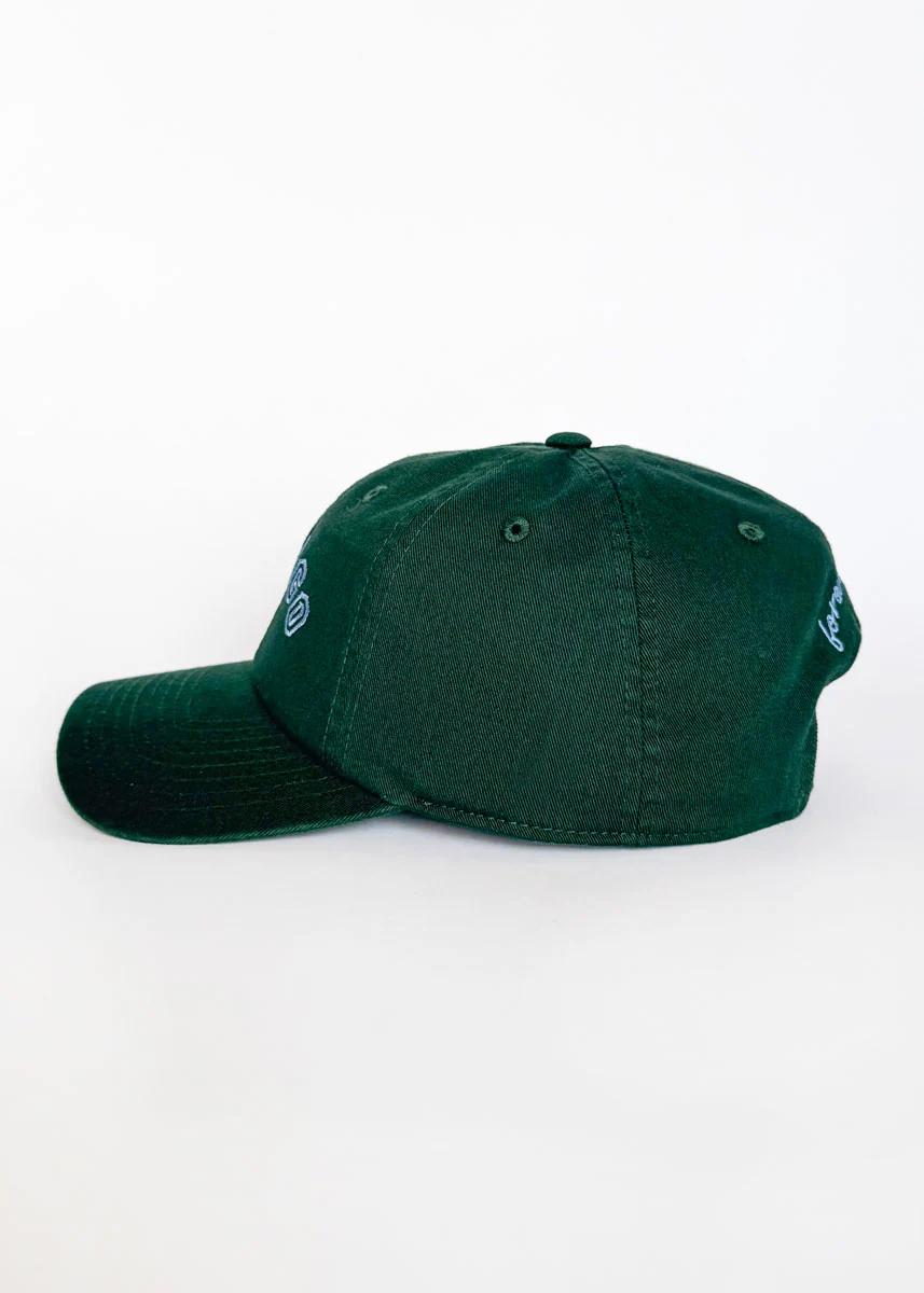 Chicago Arch Dad Hat - Green & Blue - Image 6