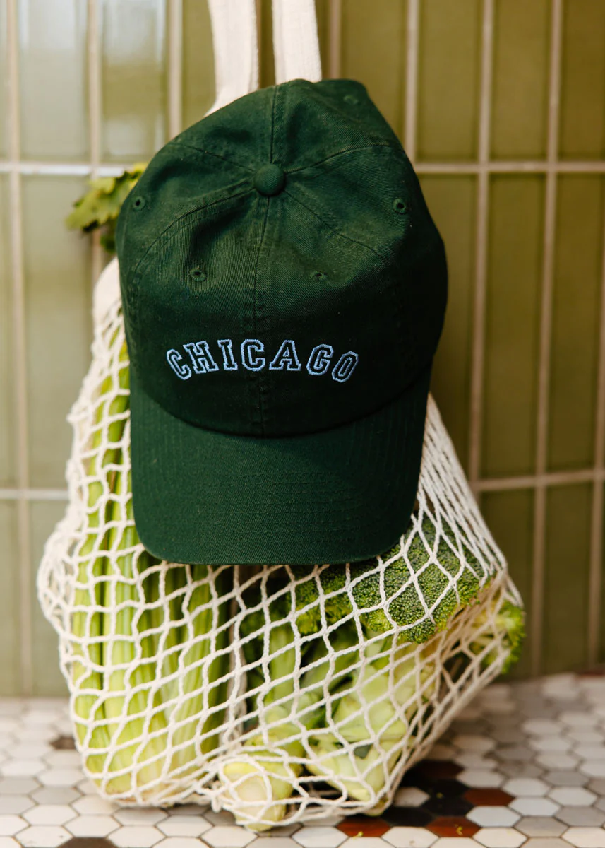 Chicago Arch Dad Hat - Green & Blue - Image 7