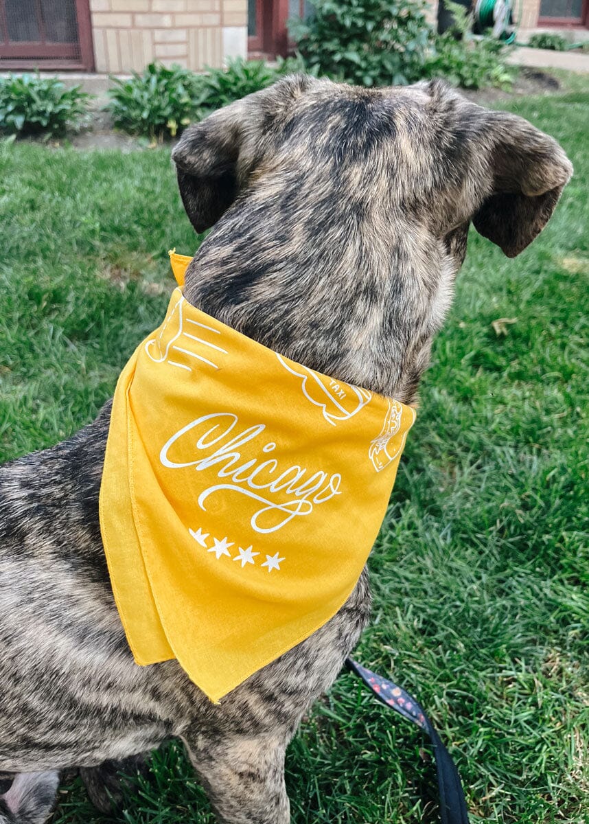 Chicago Doggie Bandana - Image 4