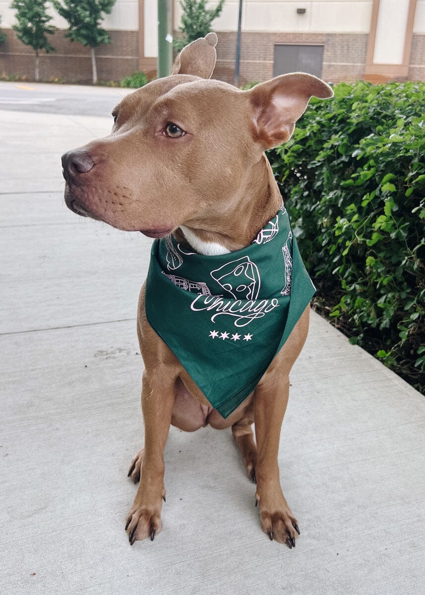 Chicago Doggie Bandana - Image 5