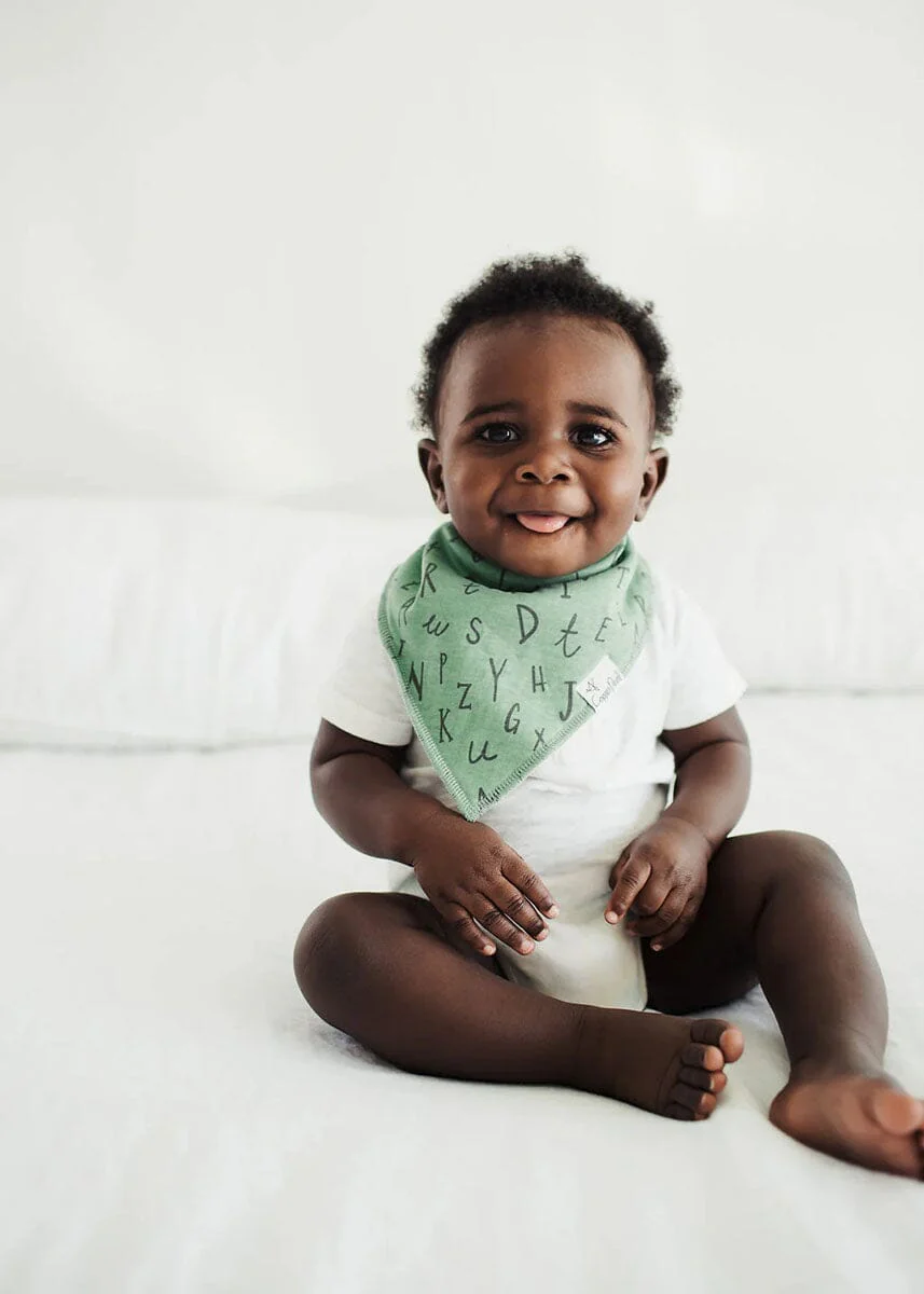 Chip Bandana Bib Set - 4-Pack - Image 4