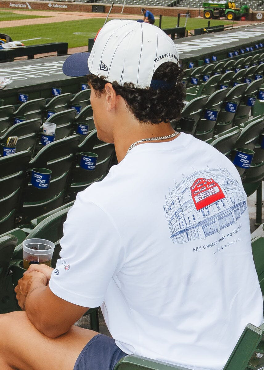Cubs Vintage Logo Pinstripe Hat - Navy - Image 5