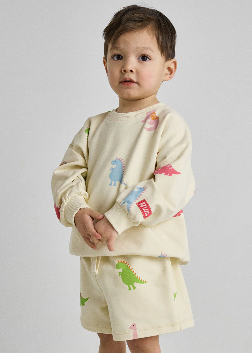 Dinosaur Terry Oversized Sweatshort Set - Image 3