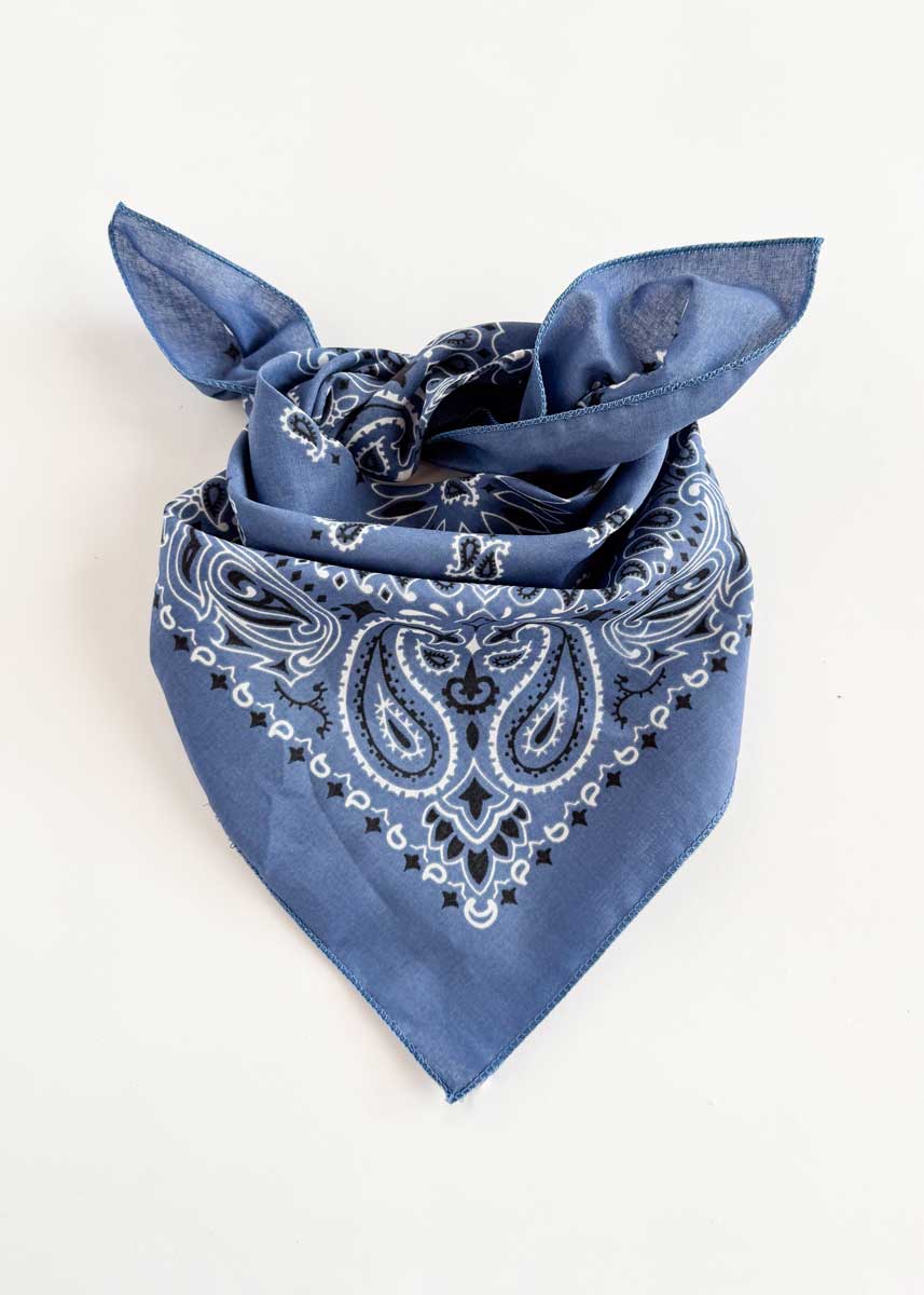 Embroidered Bandana - Chambray Paisley - Image 3