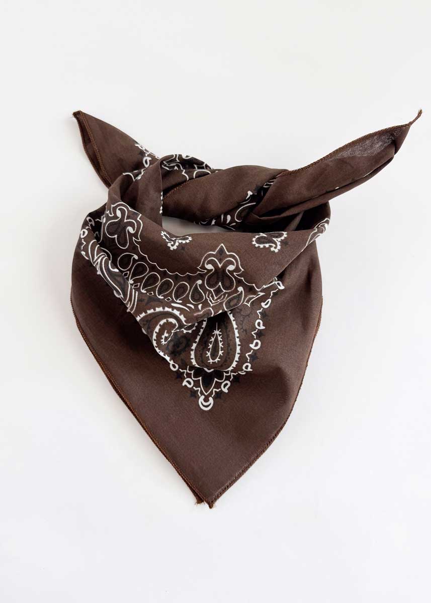Embroidered Bandana - Cocoa Paisley - Image 3