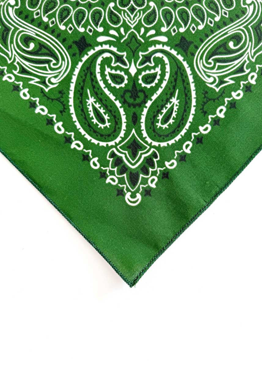 Embroidered Bandana - Hunter Paisley - Image 2