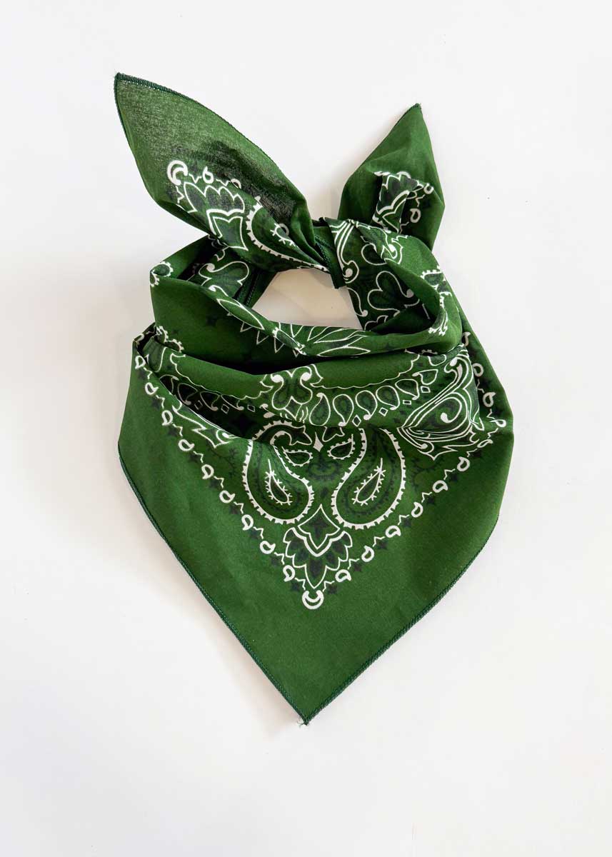 Embroidered Bandana - Hunter Paisley - Image 3