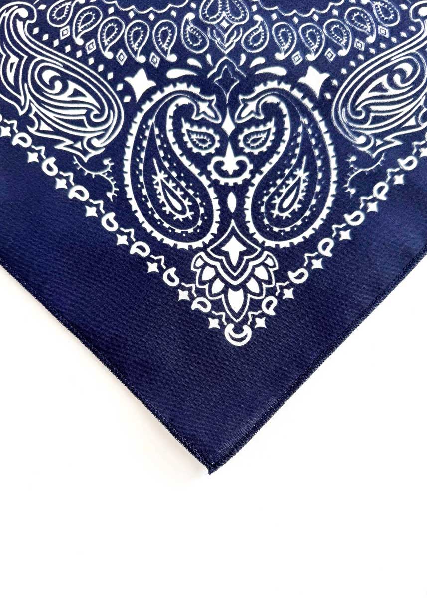 Embroidered Bandana - Navy Paisley - Image 2