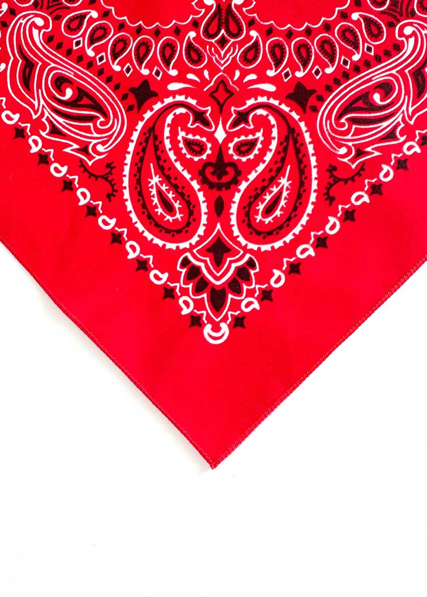 Embroidered Bandana - Red Paisley - Image 2