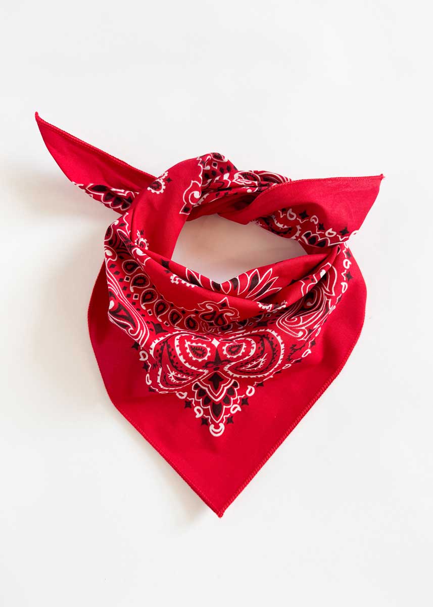 Embroidered Bandana - Red Paisley - Image 3