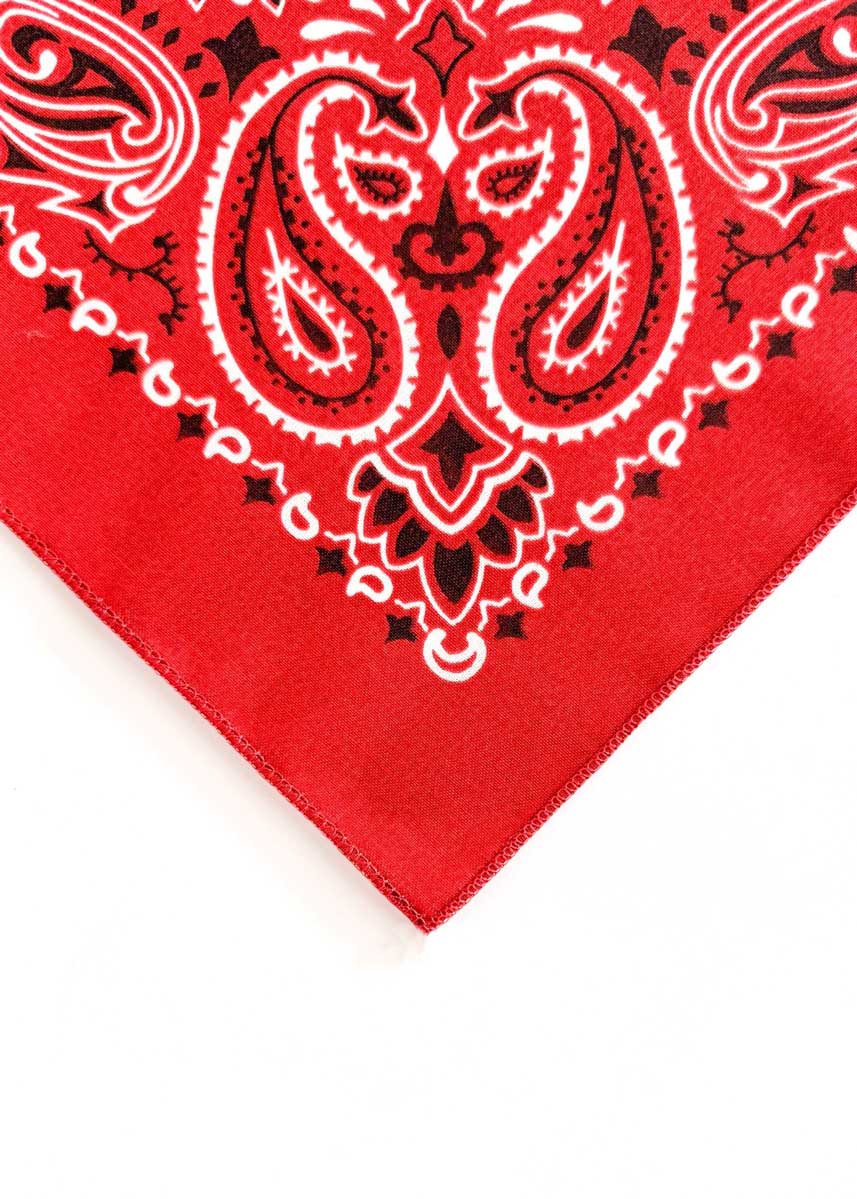 Embroidered Bandana - Terracotta Paisley - Image 2