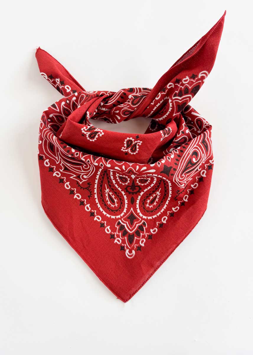 Embroidered Bandana - Terracotta Paisley - Image 3