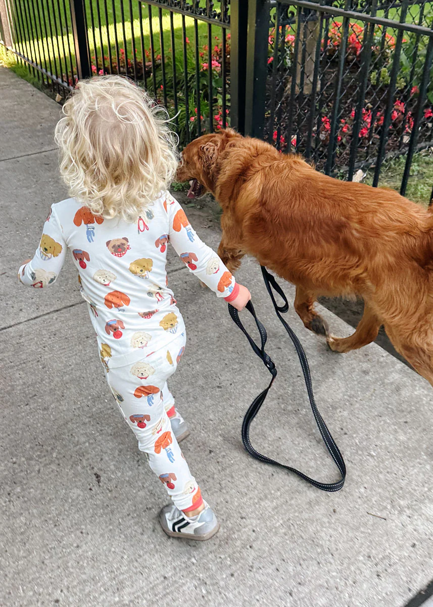 Mini Wonder x The Daily Tay Dog Loungewear Set - Image 3