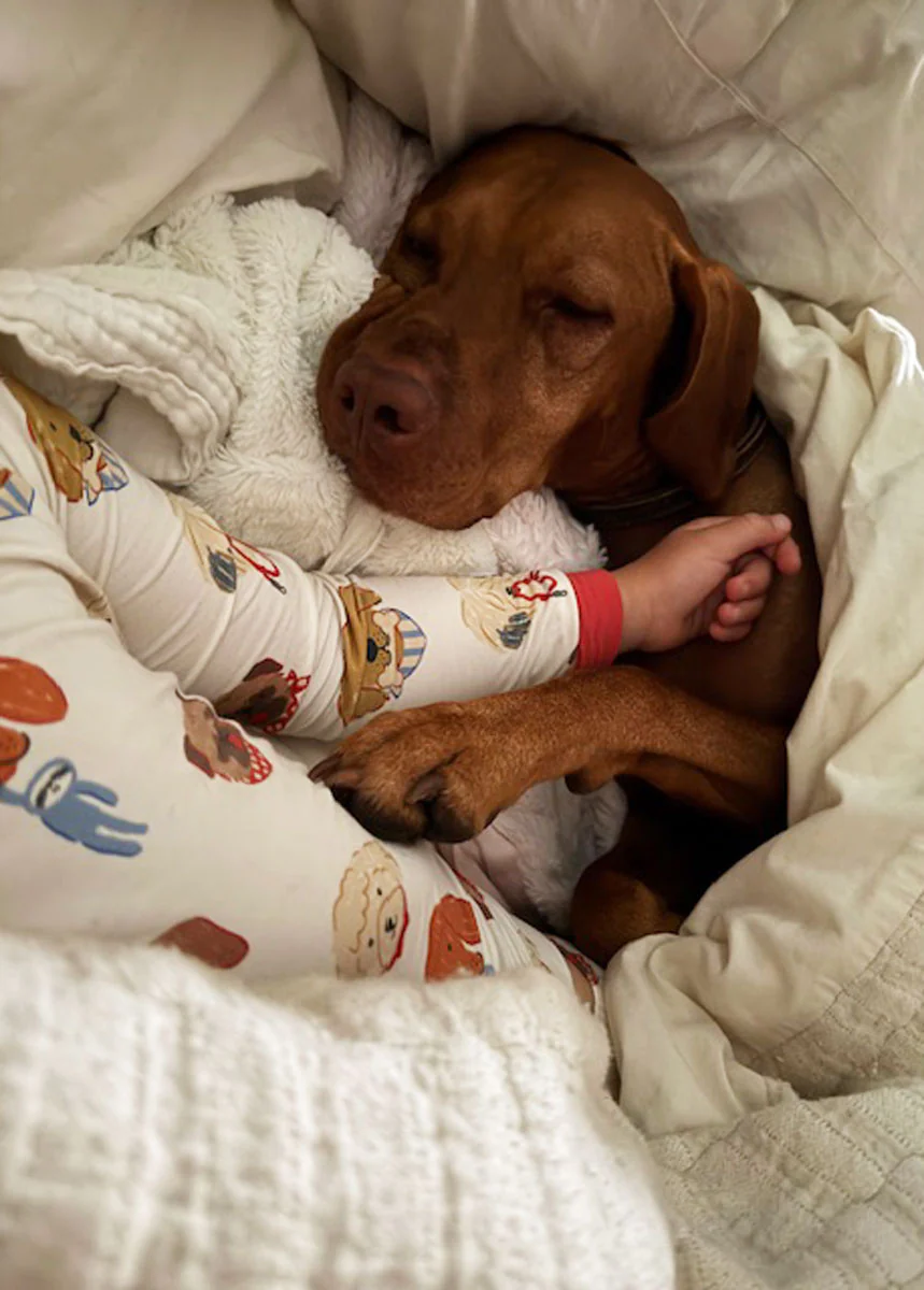 Mini Wonder x The Daily Tay Dog Loungewear Set - Image 4
