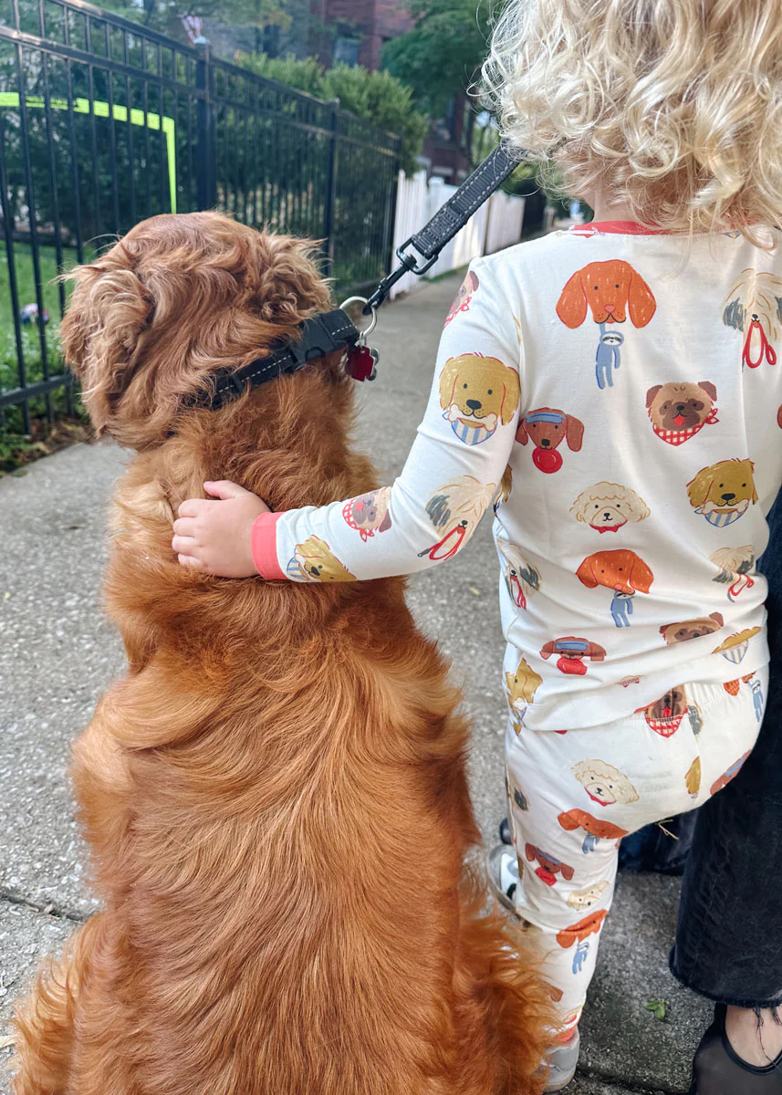 Mini Wonder x The Daily Tay Dog Loungewear Set - Image 6