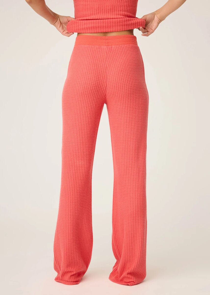 Morning Waffles Lounge Pants - Scarlet - Image 4