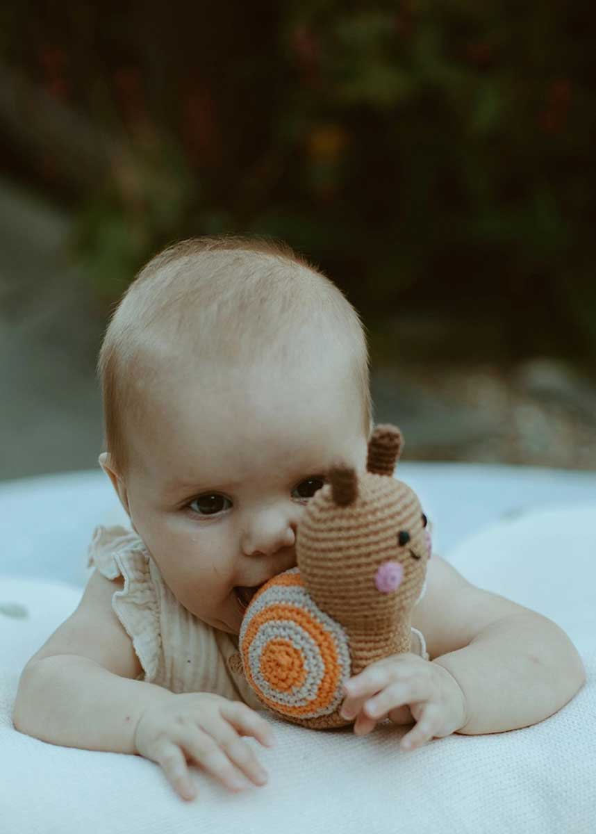 Snail Bug Rattle - Image 6