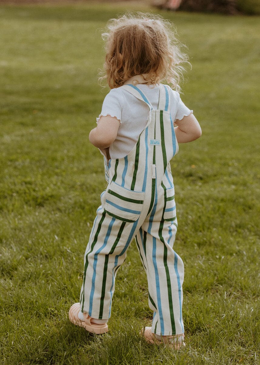 Striped Overalls - Blue & Green - Image 4